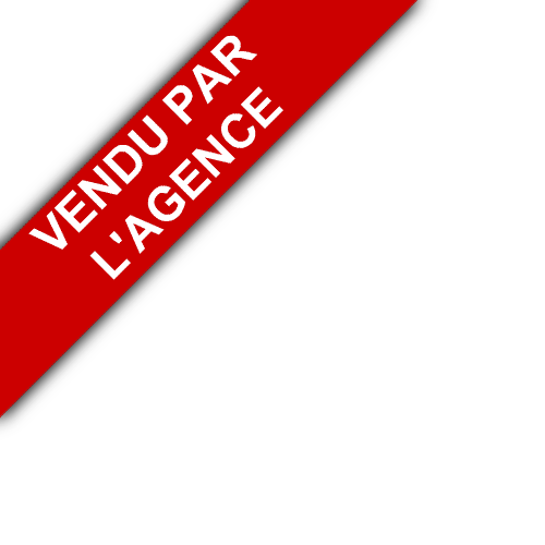 bandeau GROUPE IMMOBILIS