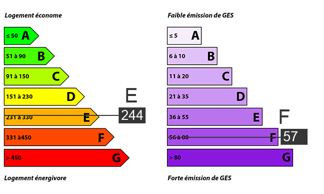 afficher / cacher le diagnostic